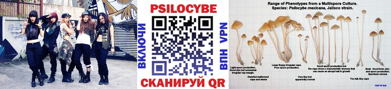 kraken ТОР  закладки  маркетплейс Telegram  Псилоцибиновые грибы мицелий  Сухой Лог 