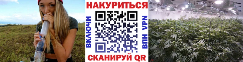 Каннабис сатива  omg маркетплейс  Сухой Лог  наркота 